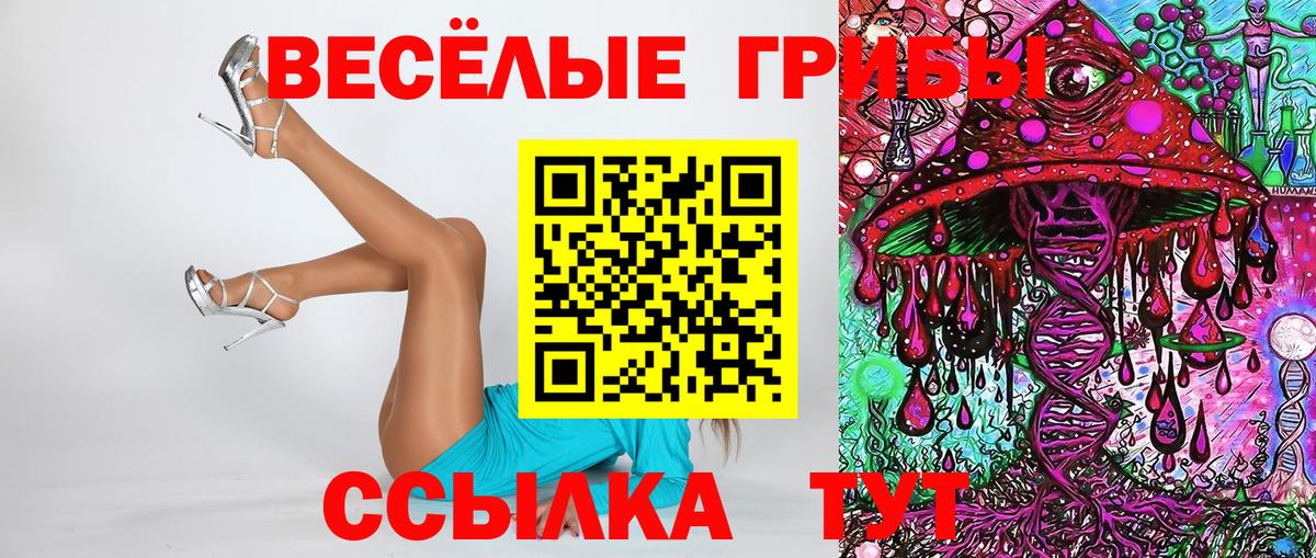 Псилоцибиновые грибы ЛСД Донецк