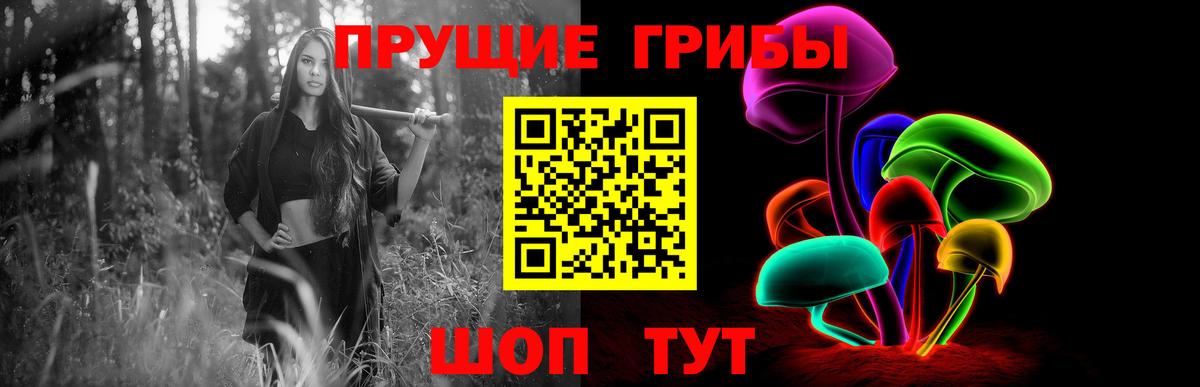 Галлюциногенные грибы GOLDEN TEACHER  Вход с VPN  Донецк  Галлюциногенные грибы MAGIC MUSHROOMS 